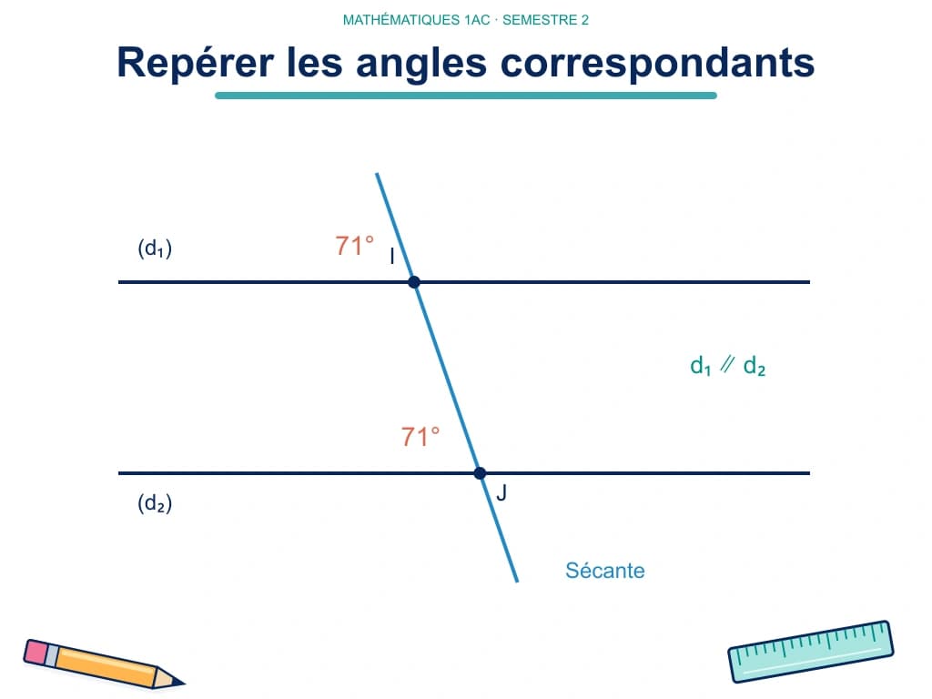 Deux angles de 71° occupent la même position aux deux intersections d’une sécante avec deux droites parallèles.