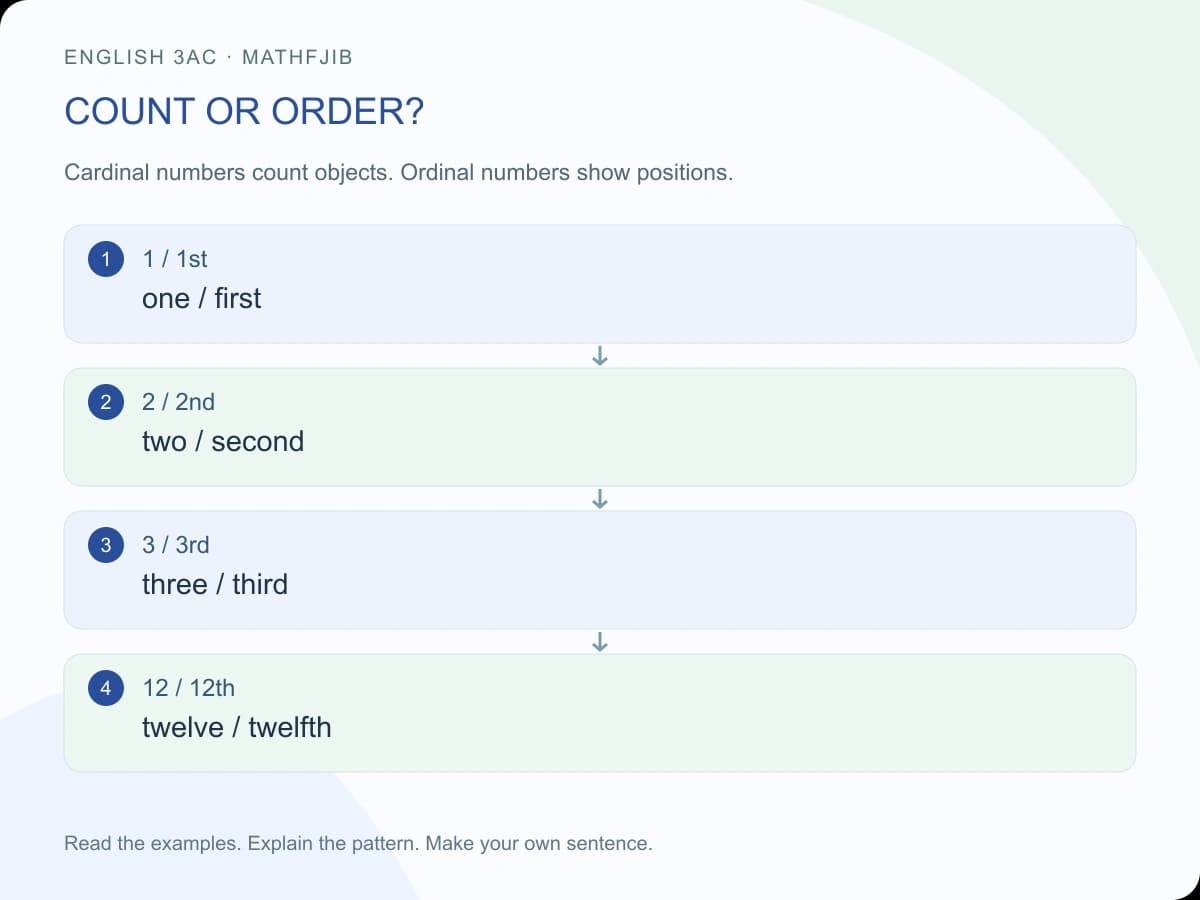 Dates and ordinal numbers: English 3AC: count or order? 1 / 1st: one / first 2 / 2nd: two / second 3 / 3rd: three / third 12 / 12th: twelve / twelfth